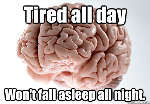 Tired all day Won't fall asleep all night.  Scumbag Brain