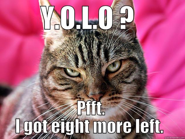 Yolo cat... - Y.O.L.O ?  PFFT. I GOT EIGHT MORE LEFT.  Misc
