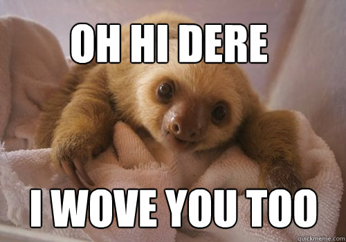 oh hi dere i wove you too - oh hi dere i wove you too  baby sloth