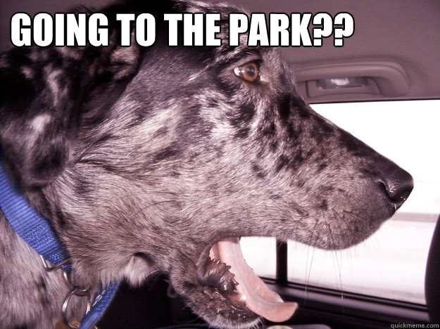 Going to the park??   