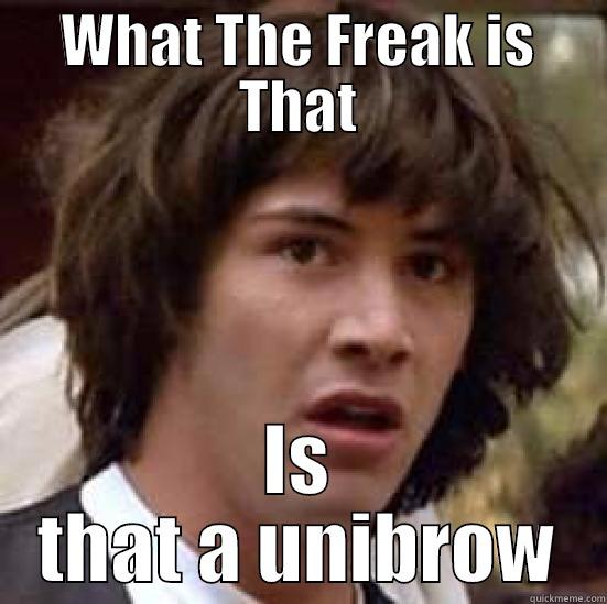 WHAT THE FREAK IS THAT IS THAT A UNIBROW conspiracy keanu