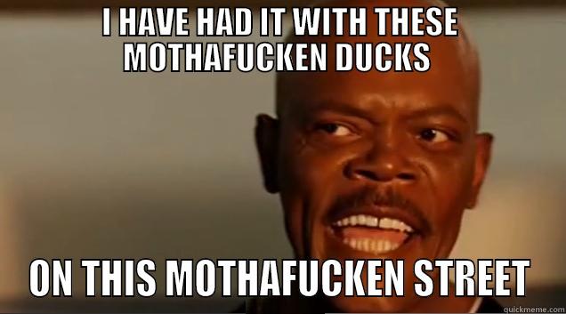 I HAVE HAD IT WITH THESE MOTHAFUCKEN DUCKS  ON THIS MOTHAFUCKEN STREET Misc