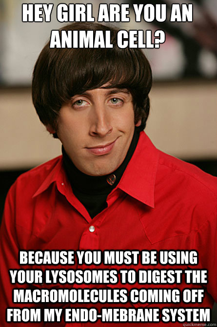 Hey girl are you an animal cell? Because you must be using your lysosomes to digest the macromolecules coming off from my endo-mebrane system     Pickup Line Scientist