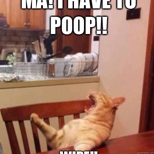 MA! I have to POOP!! WIPE!!  ma the meatloaf