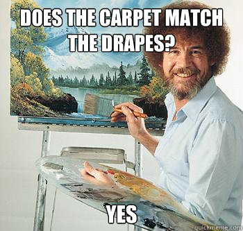 Does the carpet match the drapes? Yes  BossRob