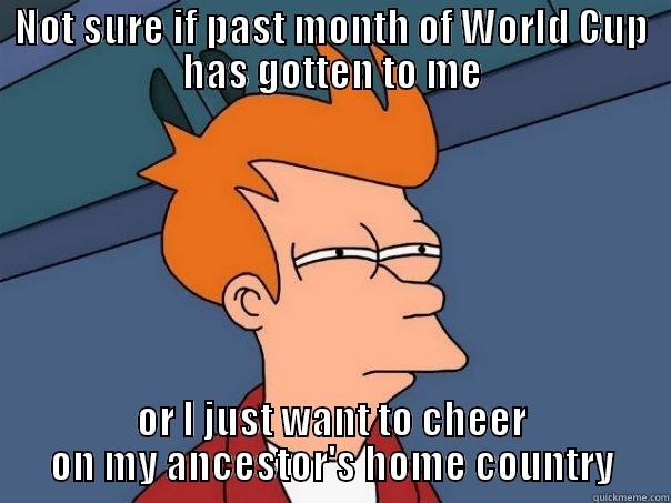 NOT SURE IF PAST MONTH OF WORLD CUP HAS GOTTEN TO ME OR I JUST WANT TO CHEER ON MY ANCESTOR'S HOME COUNTRY Futurama Fry