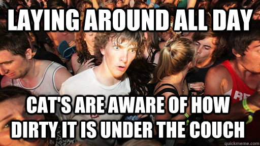 Laying around all day cat's are aware of how dirty it is under the couch  Sudden Clarity Clarence