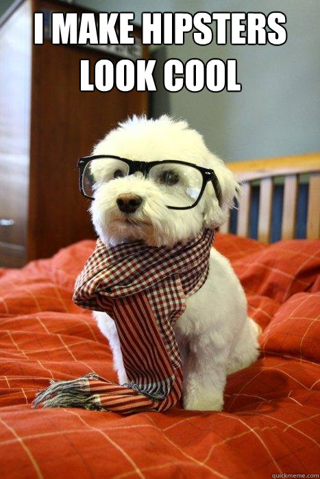 I make Hipsters look COOL  - I make Hipsters look COOL   Hipster Dog