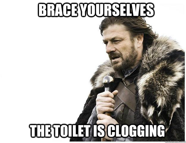 Brace yourselves the toilet is clogging  Imminent Ned