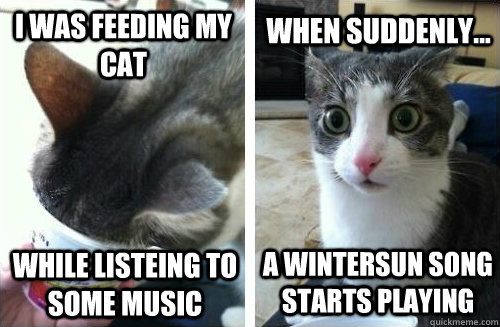 I was feeding my cat while listeing to some music When Suddenly... a Wintersun song Starts Playing  