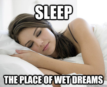 Sleep the place of wet dreams  Sleep Meme
