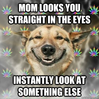 mom looks you straight in the eyes instantly look at something else  Stoner Dog