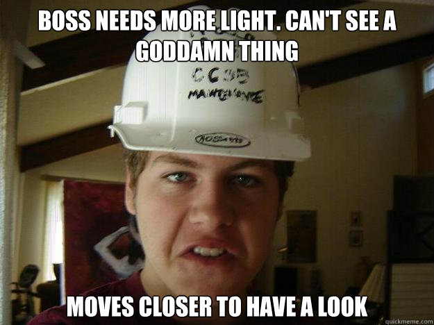 BOSS NEEDS MORE LIGHT. CAN'T SEE A GODDAMN THING MOVES CLOSER TO HAVE A LOOK  Idiot Apprentice