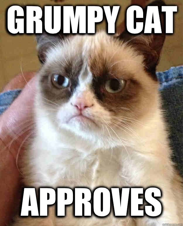 Grumpy Cat Approves  Grumpy Cat