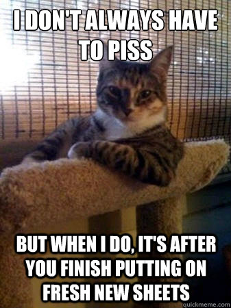 I don't always have to piss but when I do, it's after you finish putting on fresh new sheets  The Most Interesting Cat in the World
