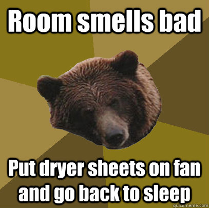 Room smells bad Put dryer sheets on fan and go back to sleep  Lazy Bachelor Bear