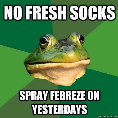 no fresh socks spray febreze on yesterdays   Foul Bachelor Frog