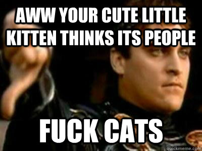 aww your cute little kitten thinks its people fuck cats  Downvoting Roman