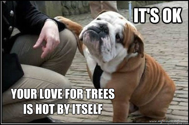 it's ok Your love for trees is hot by itself - it's ok Your love for trees is hot by itself  Its ok