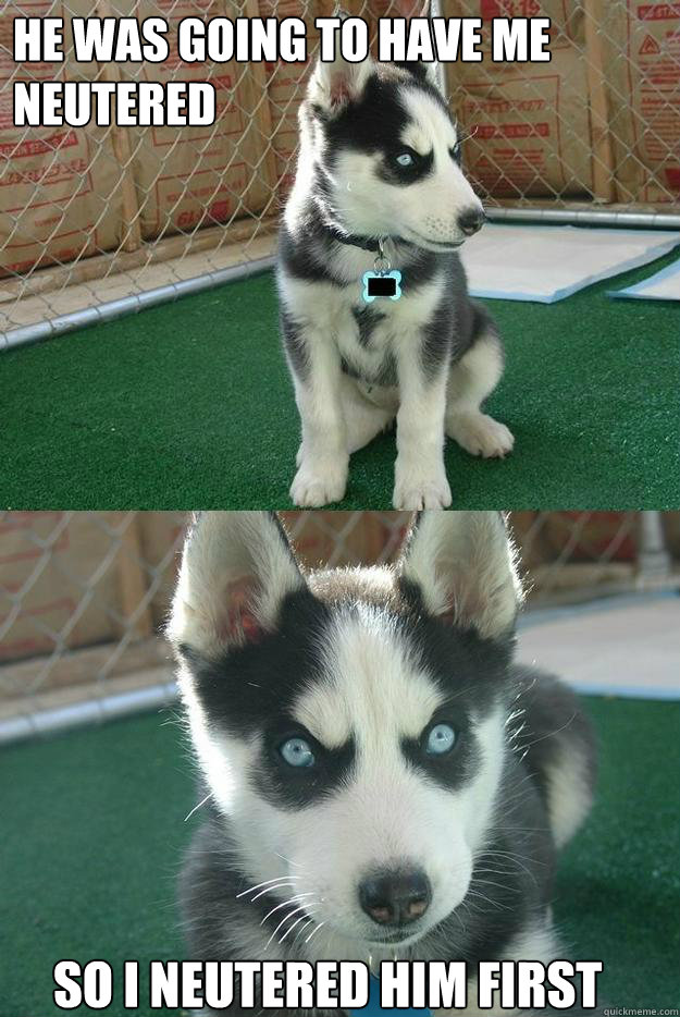 He was going to have me neutered So i neutered him first  Insanity puppy