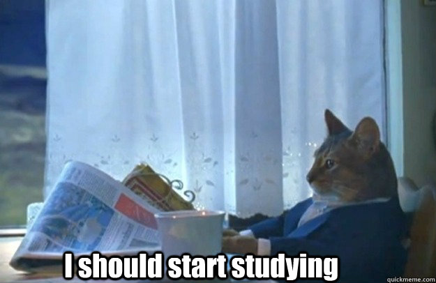 I should start studying  Sophisticated Cat is broke