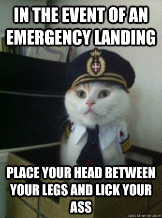 In the event of an emergency landing Place your head between your legs and lick your ass - In the event of an emergency landing Place your head between your legs and lick your ass  captain kitty