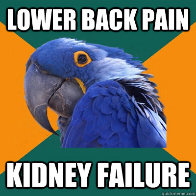 Lower back pain KIDNEY FAILURE  Paranoid Parrot