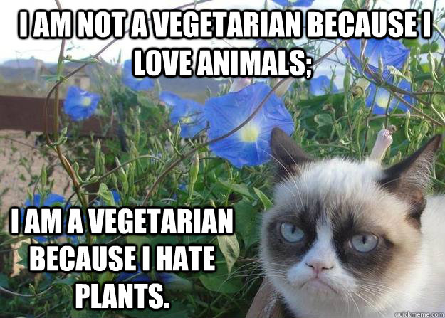  I am not a vegetarian because I love animals;   I am a vegetarian because I hate plants. -  I am not a vegetarian because I love animals;   I am a vegetarian because I hate plants.  Cheer up grumpy cat