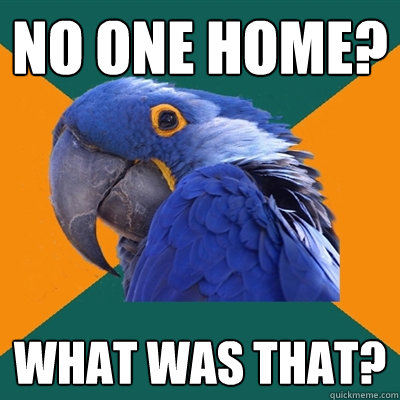 no one home? what was that?  Paranoid Parrot