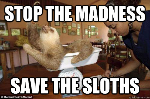STOP THE MADNESS save the sloths  Dramatic Sloth