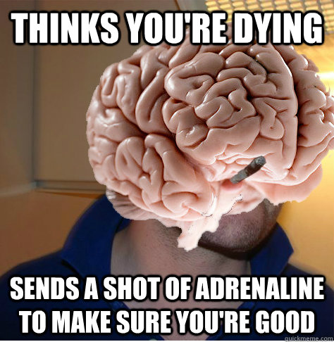 Thinks you're dying Sends a shot of adrenaline to make sure you're good  Good Guy Brain