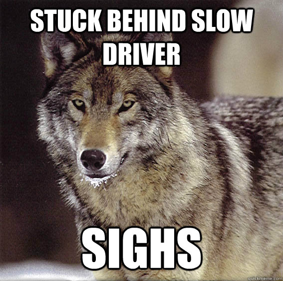 stuck behind slow driver sighs - stuck behind slow driver sighs  Mildly disturbed wolf