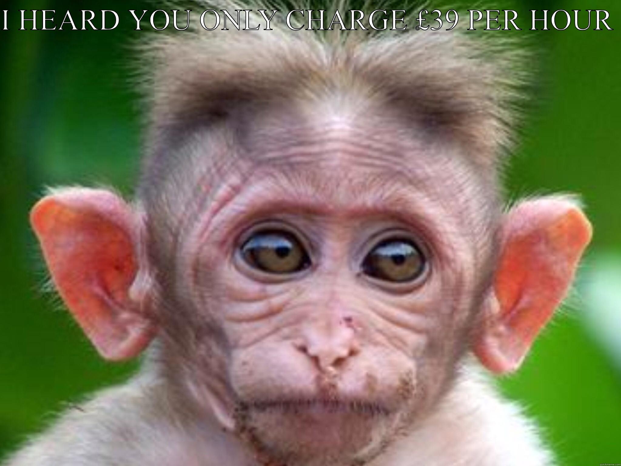 Massive ears monkey - I HEARD YOU ONLY CHARGE £39 PER HOUR  HTTPS://WWW.FACEBOOK.COM/BAUDAINSBROTHERS Misc