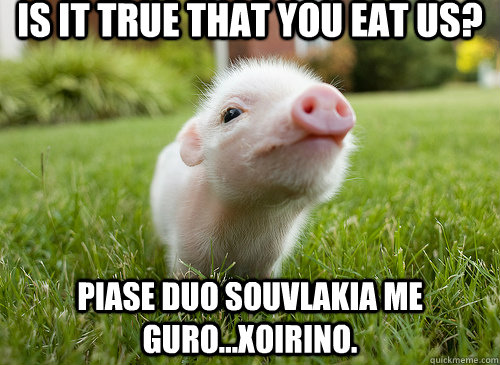 Is it true that you eat us? Piase duo souvlakia me guro...xoirino. - Is it true that you eat us? Piase duo souvlakia me guro...xoirino.  baby pig