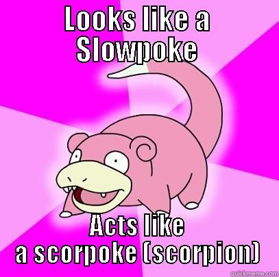 LOOKS LIKE A SLOWPOKE ACTS LIKE A SCORPOKE (SCORPION) Slowpoke