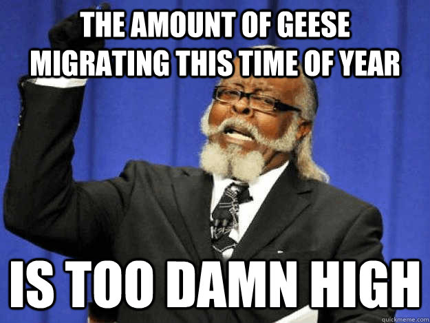 The amount of geese migrating this time of year is too damn high  Toodamnhigh