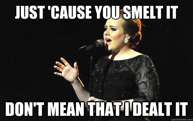 just 'cause you smelt it don't mean that i dealt it - just 'cause you smelt it don't mean that i dealt it  Adele