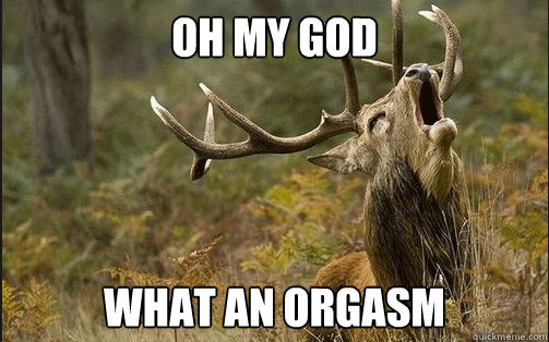 Oh my GOD what an orgasm - Oh my GOD what an orgasm  Ograsm Moose