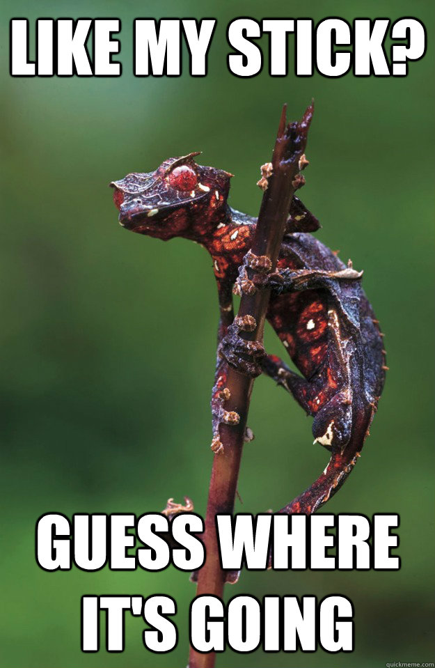 Like my stick? Guess where it's going - Like my stick? Guess where it's going  Satanic Lizard