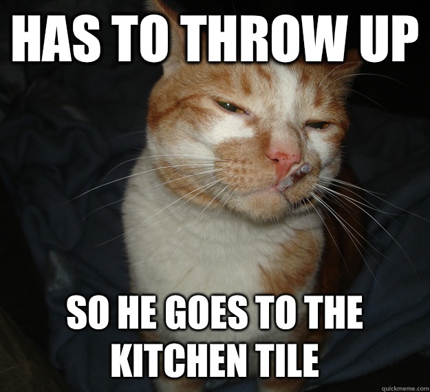 Has to throw up So he goes to the kitchen tile   Good Guy Cat