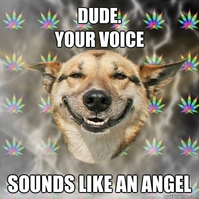 DUDE.
YOUR VOICE SOUNDS LIKE AN ANGEL  Stoner Dog