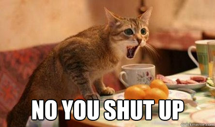  NO YOU SHUT UP  -  NO YOU SHUT UP   Dinner cat