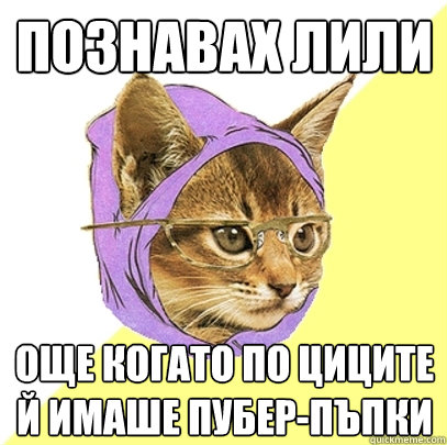 познавах лили още когато по циците й имаше &#  Hipster Kitty