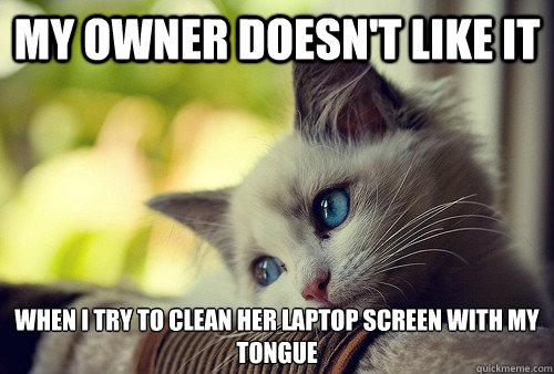 my owner doesn't like it when i try to clean her laptop screen with my tongue  First World Problems Cat