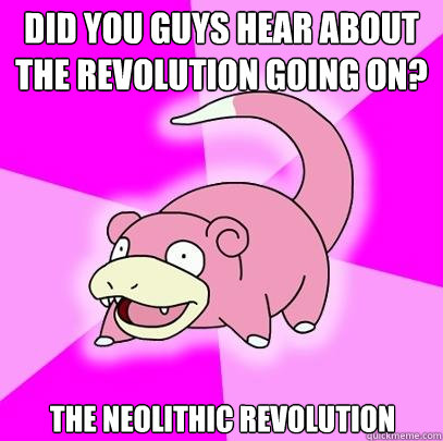 Did you guys hear about the revolution going on? The Neolithic Revolution  Slowpoke