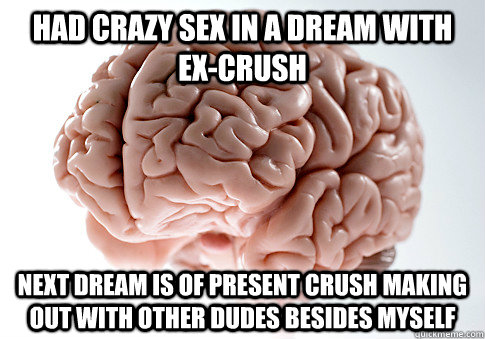 Had crazy sex in a dream with ex-crush next dream is of present crush making out with other dudes besides myself  Scumbag Brain