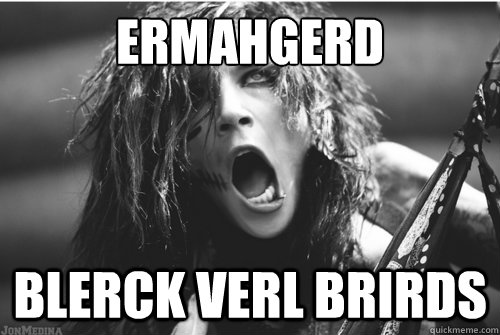 ERMAHGERD BLeRCK vERL BRiRDS  Ehrmahgerd Black Veil Brides