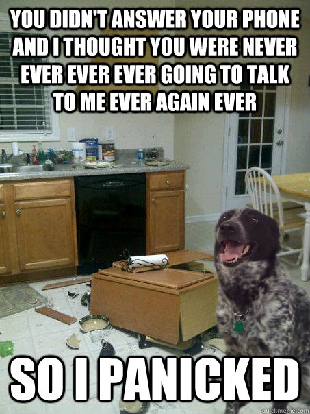 you didn't answer your phone and I thought you were never ever ever ever going to talk to me ever again ever so i panicked - you didn't answer your phone and I thought you were never ever ever ever going to talk to me ever again ever so i panicked  panicked dog