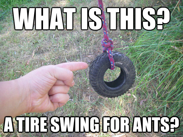 What is this? A Tire Swing for Ants? - What is this? A Tire Swing for Ants?  Tiny tire