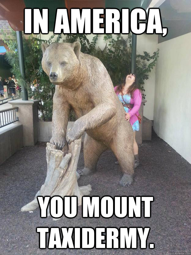 In America, You mount taxidermy.  In MURICA